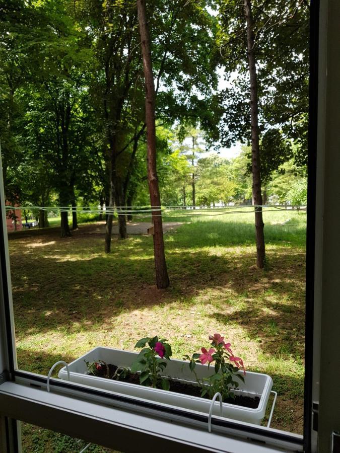 Apartman Park, Tc Stadion Vozdovac Apartment เบลเกรด ภายนอก รูปภาพ